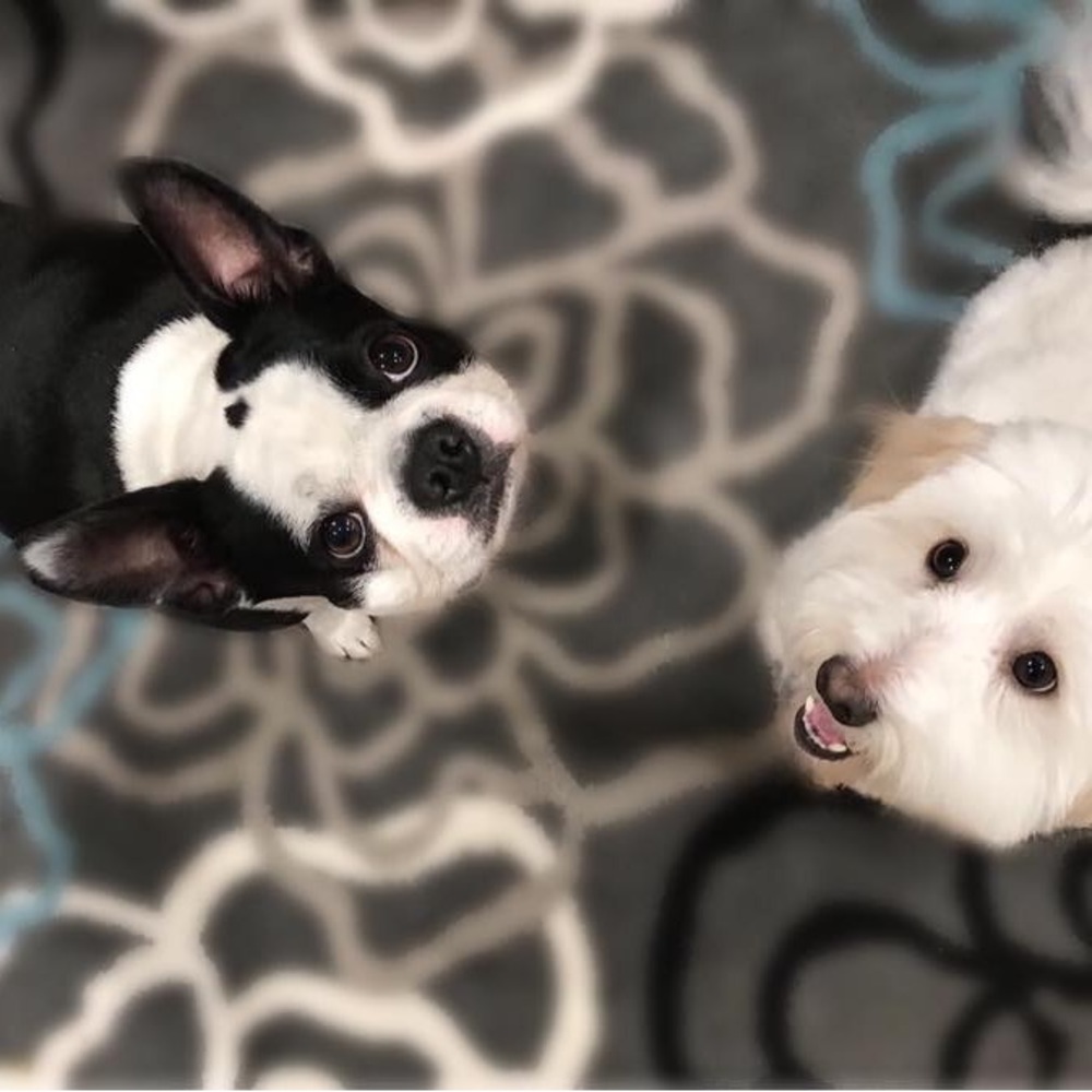 Meet your Posher, Linda